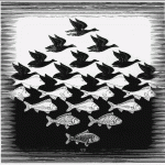 Escher Fish to Birds Escher Fish to Birds
